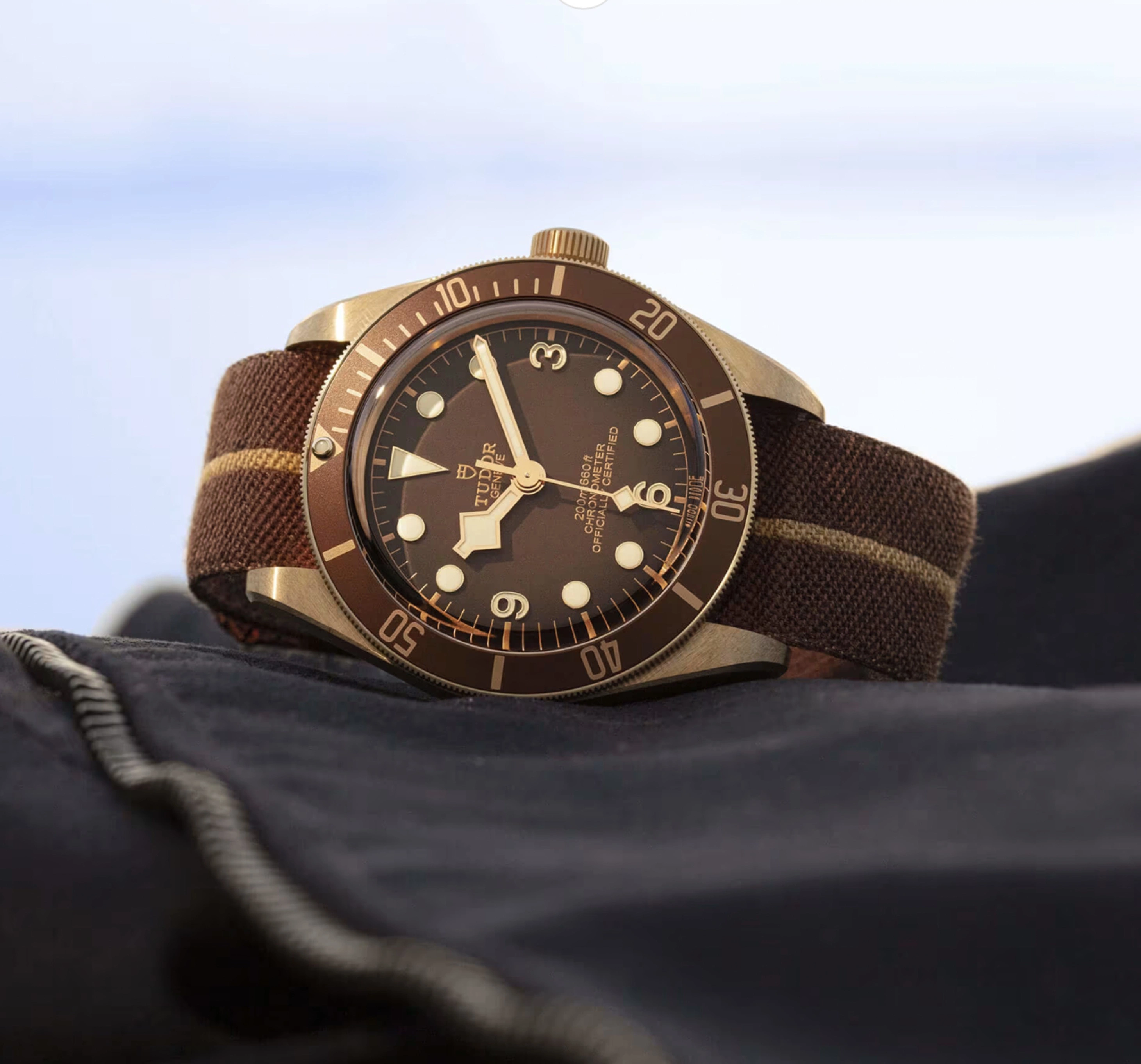 Kahverengi bez kayışlı ve bronz kasalı Tudor Black Bay saat; kahverengi dalgıç bezeli ve büyük indeksli vintage tarzı kadranıyla açık havada sergileniyor.