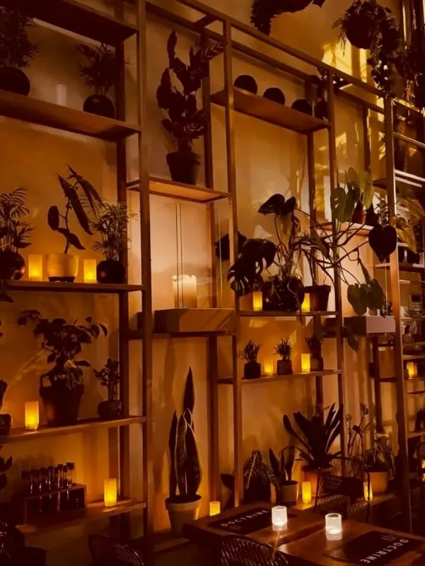 Doctrine Coffee Kadıköy’ün loş ve bitkilerle dekore edilmiş iç mekân atmosferi
