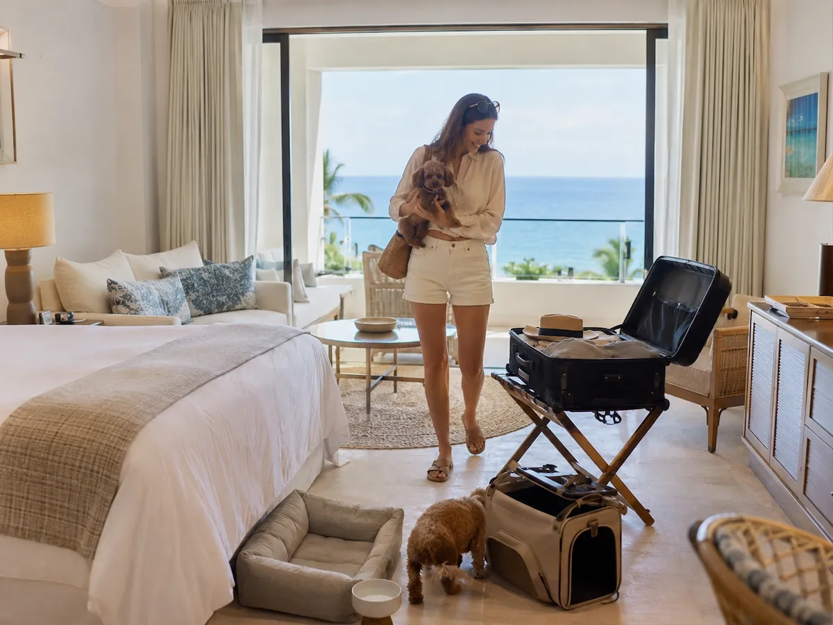 Okyanus manzaralı ferah bir otel odasında, kucağında bir köpekle gülümseyen bir kadın, yerde duran diğer köpeği, açık valizi ve evcil hayvan yatağıyla huzurlu bir evcil hayvan tatili deneyimi için odaya yerleşiyor gibi görünüyor.