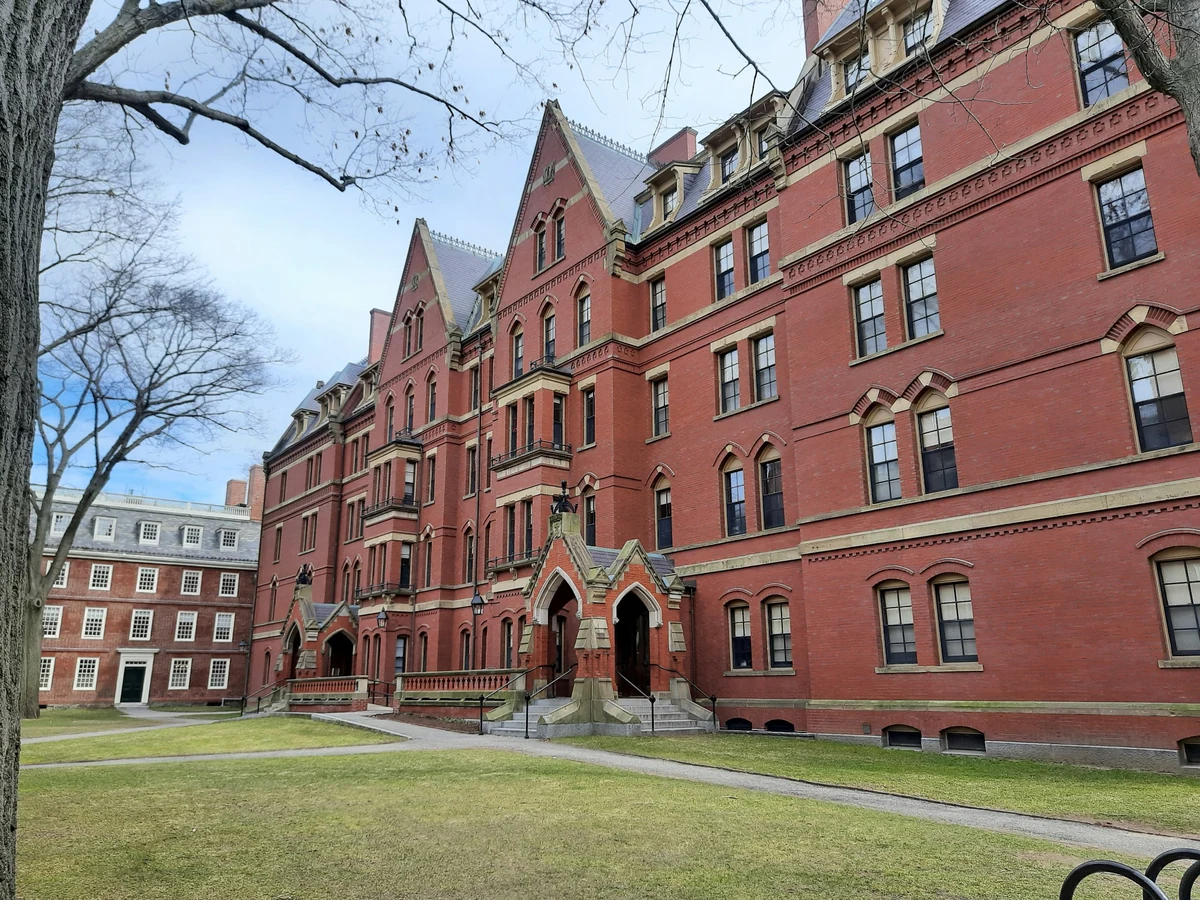 Harvard Üniversitesi'nin tarihi kırmızı tuğlalı binaları ve yemyeşil bahçeleri arasında, güneşli bir günde kampüste dolaşan öğrencilerin oluşturduğu canlı atmosfer, bu köklü eğitim kurumunun dingin ama enerjik ruhunu yansıtıyor.