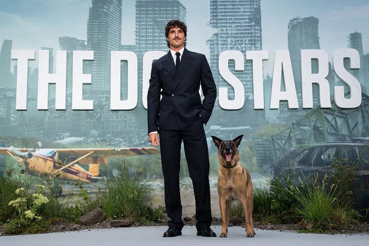 THE DOG STARS yazan harabe şehir dekoru önünde, şık takım elbiseli bir adam ve neşeyle ağzı açık duran bir çoban köpeği, köpek filmlerinin sadakat ve dostluk temalarını kutlayan bir etkinliği temsil ediyor.