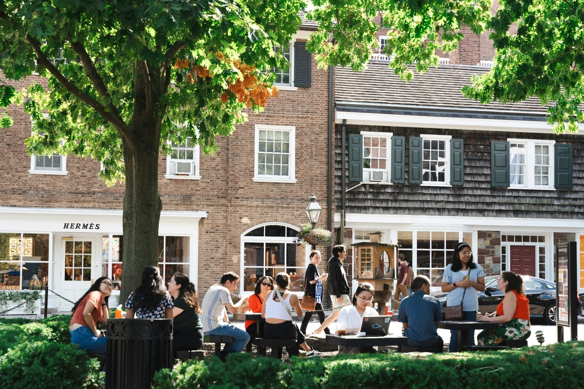 Princeton Üniversitesi'nin Gotik mimarili, asırlık taş binalarından birinin, yeşil çimlerle ve sonbahar renklerindeki ağaçlarla çevrili, güneşli bir kampüs görünümü; öğrencilerin ders aralarında veya boş zamanlarında dinlendiği, huzurlu ve akademik bir ortamı yansıtıyor.