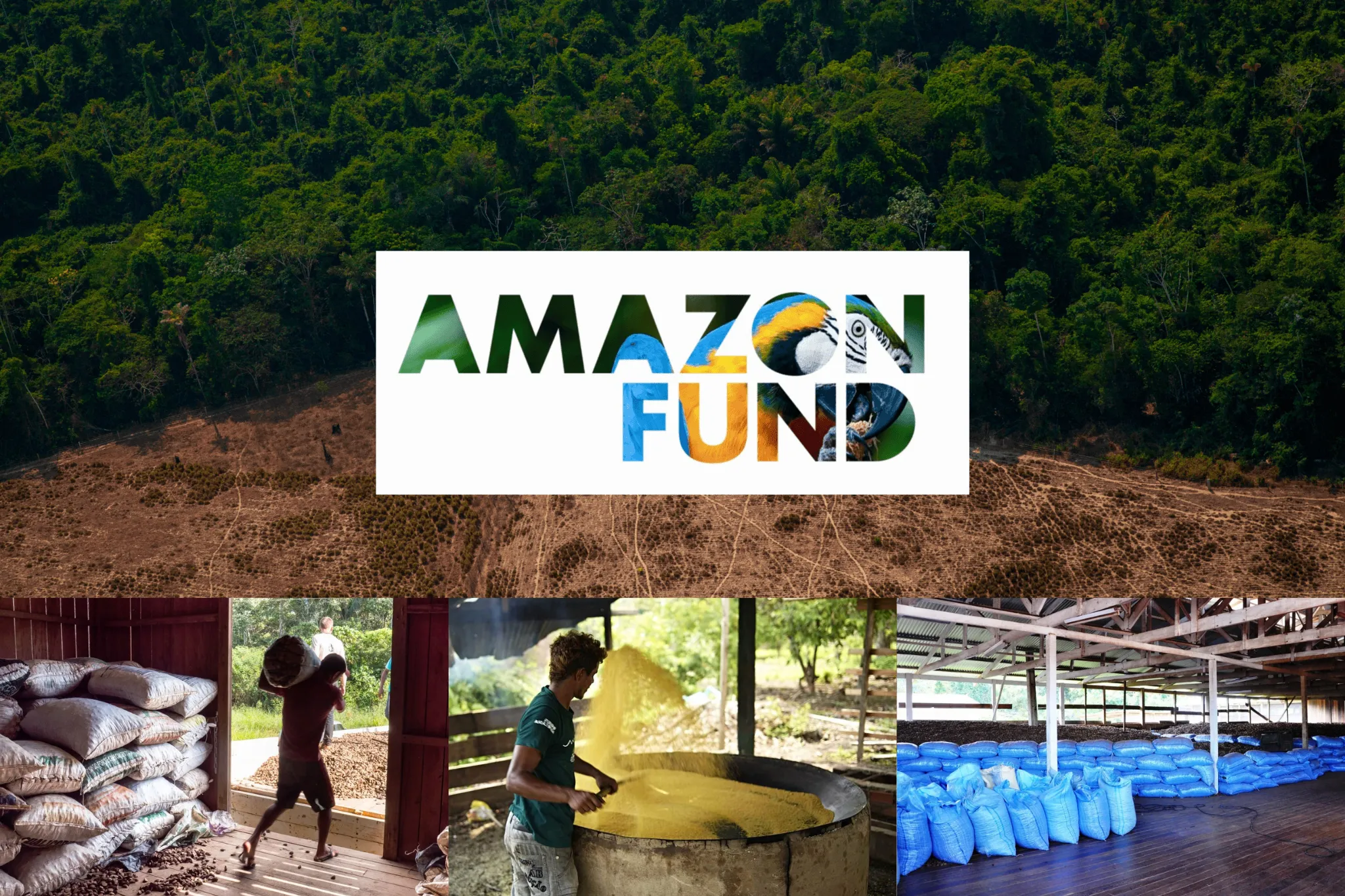 Amazon Fund çalışmalarını anlatan kolaj: Üstte Amazon ormanlarının yanında yer alan geniş ölçekli ormansızlaşma alanı ve ortada Amazon Fund logosu; altta ise yerel toplulukların hasat, üretim ve paketleme süreçlerini gösteren üç ayrı fotoğraf; ormansızlaşmayla mücadele, sürdürülebilir kalkınma ve yerel ekonomiyi destekleme vurgulu görsel.