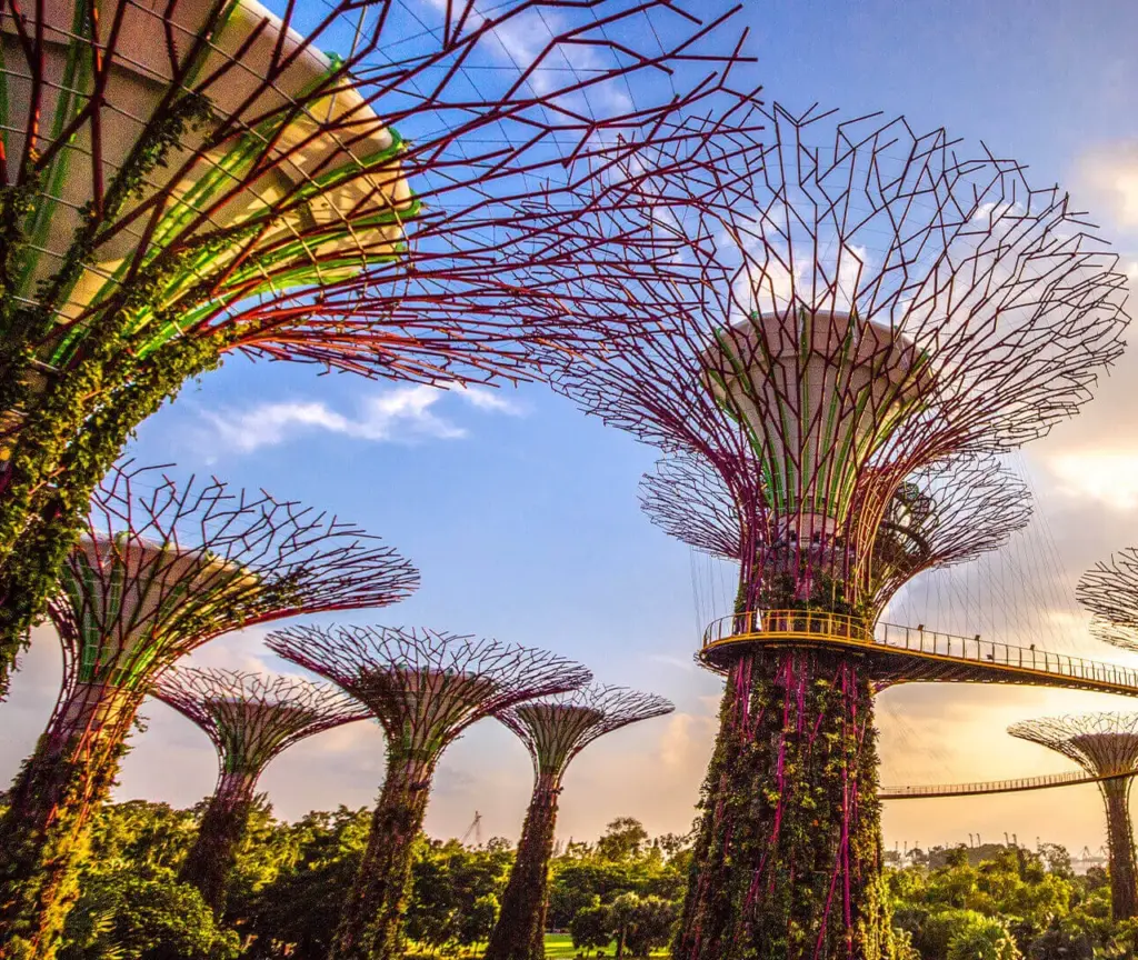 Singapur Gardens by the Bay’deki dev Supertree Grove yapıları ve sürdürülebilir dikey bahçeler, yeşil şehircilik ve ekolojik mimari örneği.
