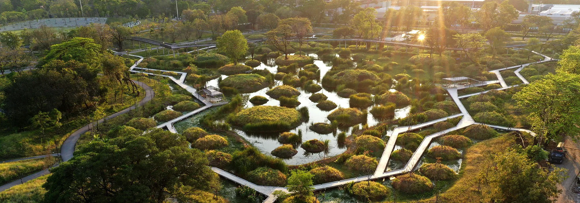 Bangkok’taki Benjakitti Parkı’nın göletler, sulak alanlar ve yürüyüş yollarıyla tasarlanmış ekolojik peyzaj mimarisi ve sürdürülebilir şehir parkı.