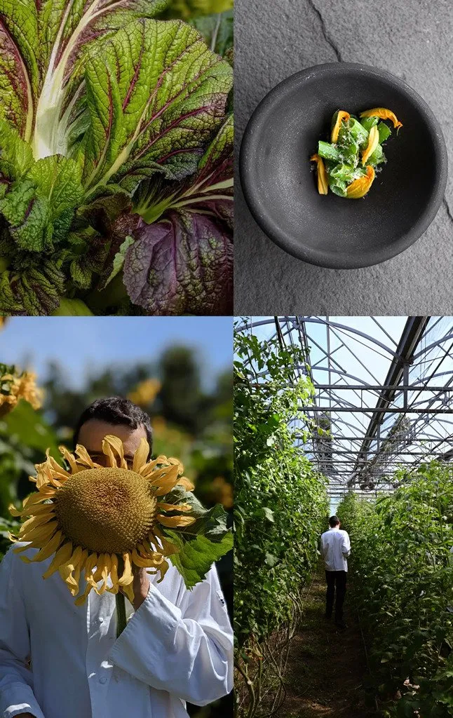 OGGUSTO 2026 Gastronomi Trendleri Raporu: Geleceğin Sofraları