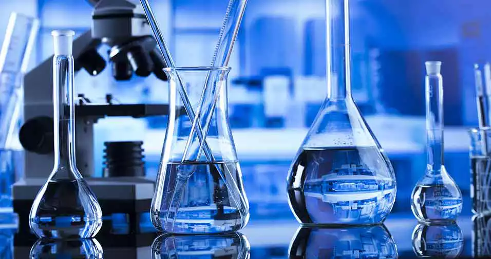 DNA Tabanlı Kişiselleştirilmiş Bakım