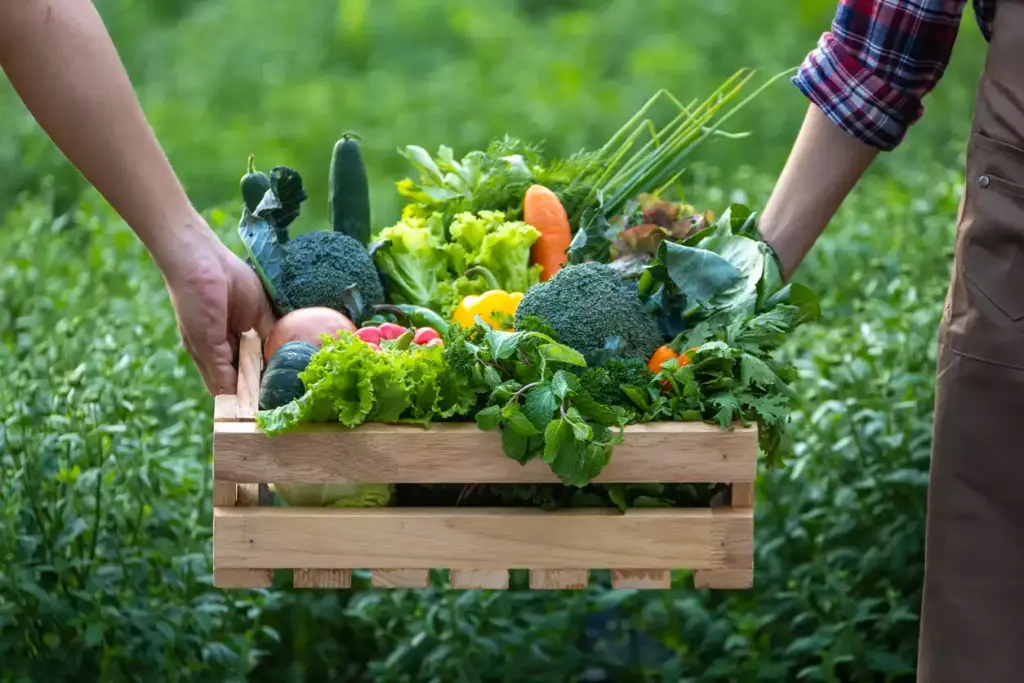 Micro-Seasonal Dining