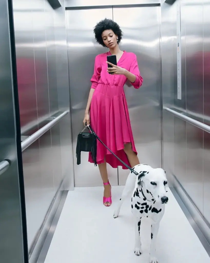 Asansörde pembe elbise ve topuklu ayakkabılarla poz veren modelin, yanında dalmaçyalı köpeğiyle birlikte yer aldığı modern moda çekimi.