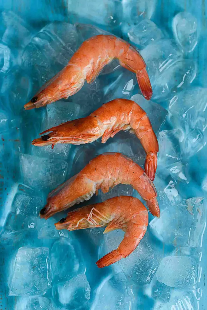 OGGUSTO 2026 Gastronomi Trendleri Raporu: Geleceğin Sofraları