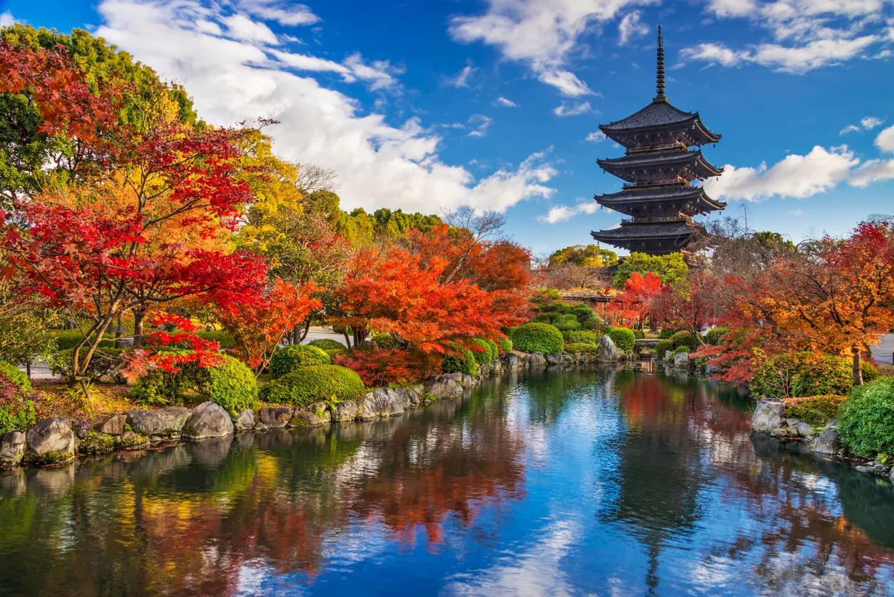 Kyoto’da sonbahar mevsiminde Toji Pagodası ve çevresindeki ağaçlar