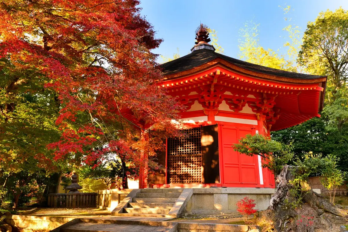 Kyoto’daki Tofuku-ji Tapınağı’nda Aizendo Salonu çevresinde sonbahar yaprakları
