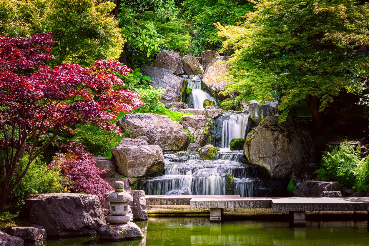 Holland Park Kyoto Garden’da yer alan şelale ve gölet manzarası; Japon bahçe estetiğini yansıtan taş köprü, akarsu ve yemyeşil bitki örtüsü.