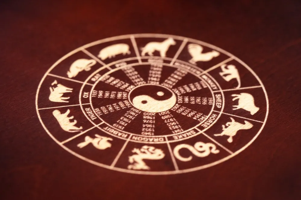 Ahşap yüzeye oyulmuş Çin Zodyağı çarkı, merkezinde Yin-Yang sembolü ve etrafında 12 hayvan burcunu gösterir. Bu takvim, 2026 Ateş Atı Yılı gibi astrolojik döngüleri belirlemek için kullanılır.