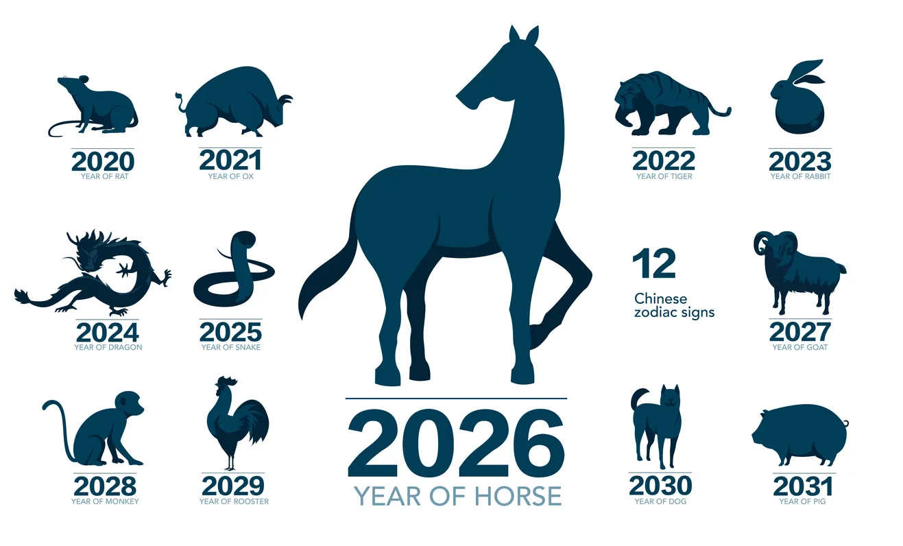 2026 At Yılı'nı merkezde ve büyük bir silüetle vurgulayan 12 Çin zodyak burcu takvimi. Etrafında fare, ejderha, yılan ve maymun gibi diğer hayvanların yıllarıyla birlikte çizimleri yer alır.