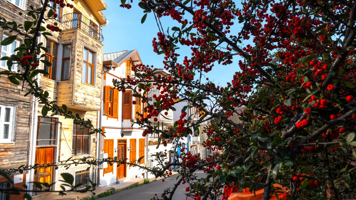 Burgazada köşkleri ve manzarası