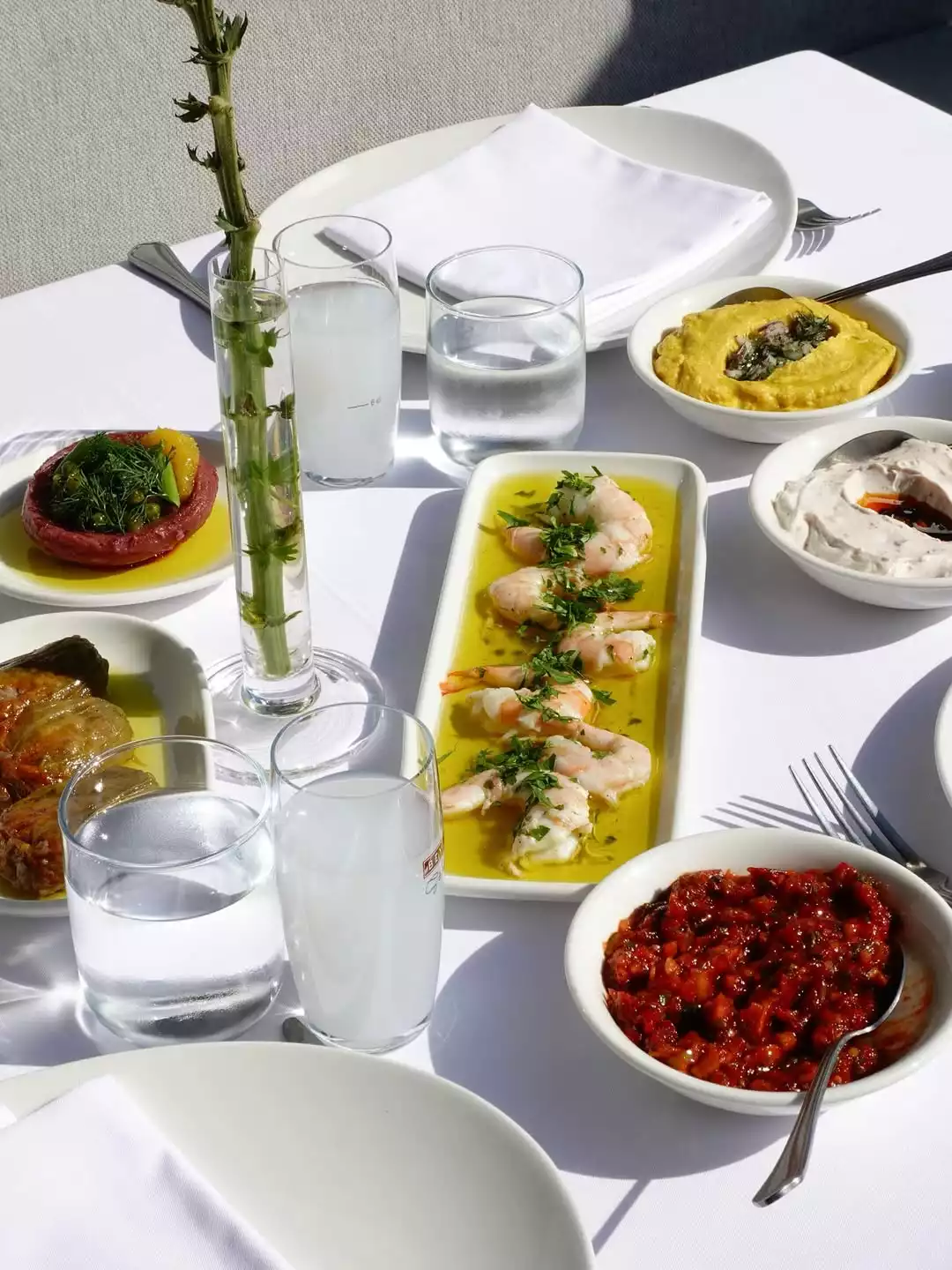 Beyaz bir masada, zeytinyağlı karides, acılı ezme, humus gibi çeşit çeşit meze tabağı ve kadehlerde rakı ile su bulunan, güneşli bir ortamda çekilmiş bu zengin sunum, Şef Duru Akgül'ün lezzet rotalarındaki özel bir meze deneyimini yansıtıyor.