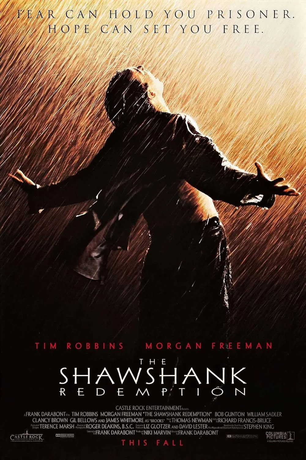 Andy Dufresne yağmur altında kollarını iki yana açmış şekilde özgürlüğünü simgeleyen bir an yaşarken, The Shawshank Redemption film afişi.