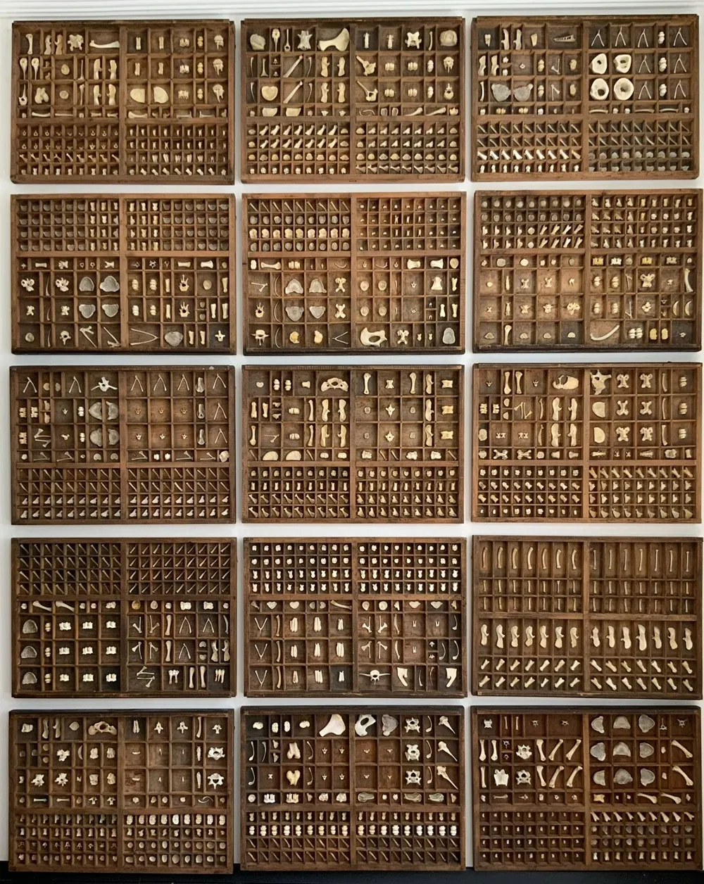 Farklı bölmelere ayrılmış ahşap paneller içinde kemik, doğal form ve organik parçalarla oluşturulan seri; doğanın kontrol edilemeyen süreçlerini sınıflandırma fikriyle buluşturuyor.