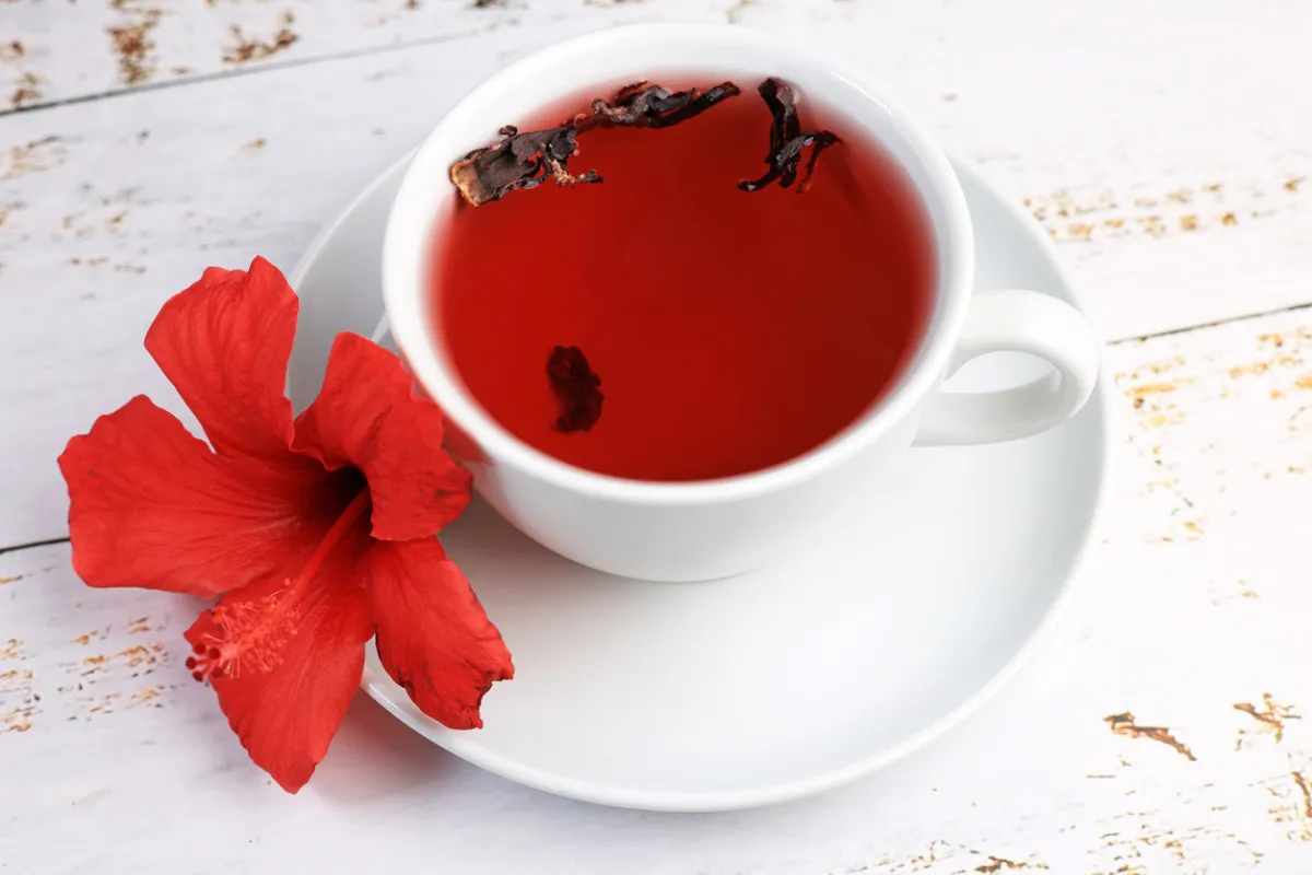 Hibiskus Çayı Faydaları: Nedir, Nasıl Hazırlanır ve Bilmeniz Gereken Tüm Mucizeleri