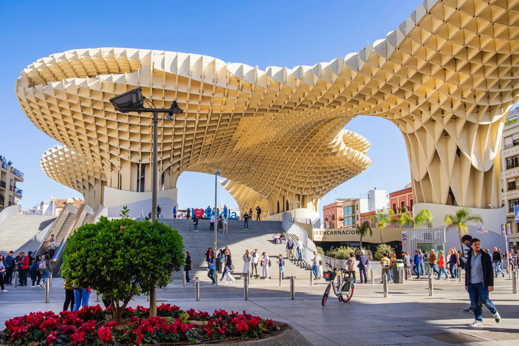 Sevilla'nın kalbindeki hareketli bir meydanda, güneşli gökyüzünün altında yükselen devasa petek desenli Metropol Parasol mimari yapısının altındaki merdivenlerde ve çevresinde yürüyen kalabalıklar dikkat çekiyor; ön planda kırmızı çiçekler ve yeşil bir çalı barındıran çiçeklik şehrin canlılığını yansıtıyor.