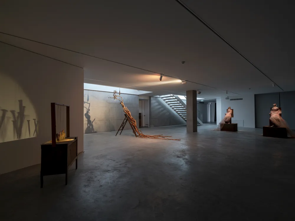 Bir sanat galerisinde loş ışıklı alanda, solda gölgeler yansıtan bir konsol, ortada iskele üzerine yerleştirilmiş, bükülmüş kök benzeri organik bir heykel ve sağda şeffaf kumaşlarla örtülmüş iki oturmuş figürün sergilendiği Canavarların Vaatleri adlı serginin genel bir görünümü.