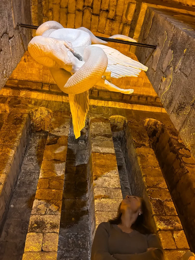 Alper Aydin'ın eserlerinden biri olan bu büyüleyici sanat enstalasyonunda, eski taş bir tonozun yüksek kemerine sabitlenmiş, kanatlı beyaz bir figürü saran devasa, pullu bir yılan heykeli, alttan vuran sıcak sarı ışıklarla dramatik bir şekilde aydınlatılırken, bir kadın figürü yukarı bakarak bu görkemli yapıtı hayranlıkla seyrediyor.