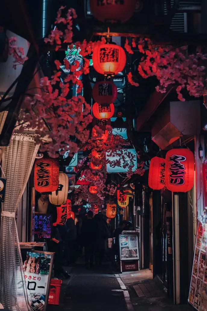 Shinjuku'da, gecenin loşluğunda, dar bir sokak boyunca asılı duran sayısız kırmızı ve turuncu Japon feneri ile yapay pembe kiraz çiçekleri arasında yürüyen insanların silüetleri, hareketli ve geleneksel bir Japon atmosferi sunuyor.