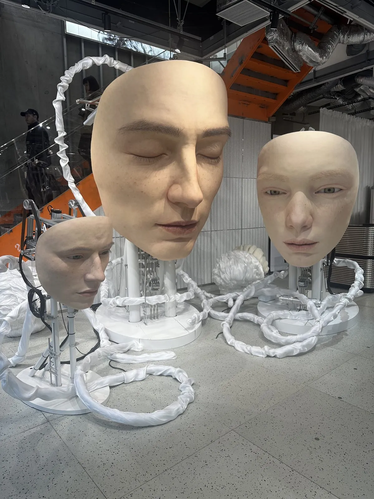 Tokyo'daki modern bir sanat sergisinde, beyaz kablolarla donatılmış kaideler üzerinde duran, gözleri kapalı veya hafif açık, benekli ten detaylarına sahip üç gerçekçi insan başı heykeli, minimalist ve fütüristik bir atmosfer sunuyor.