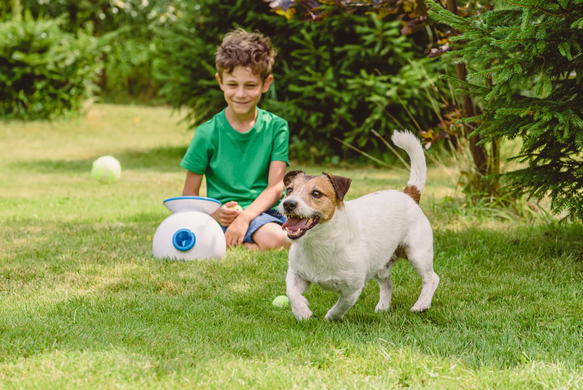 Yeşil bir bahçede, otomatik top fırlatma makinesinin yanında oturan küçük bir çocuk ve makineden fırlayan tenis toplarıyla oyun oynayan neşeli Jack Russell Terrier cinsi köpek; interaktif dış mekan köpek oyuncakları.