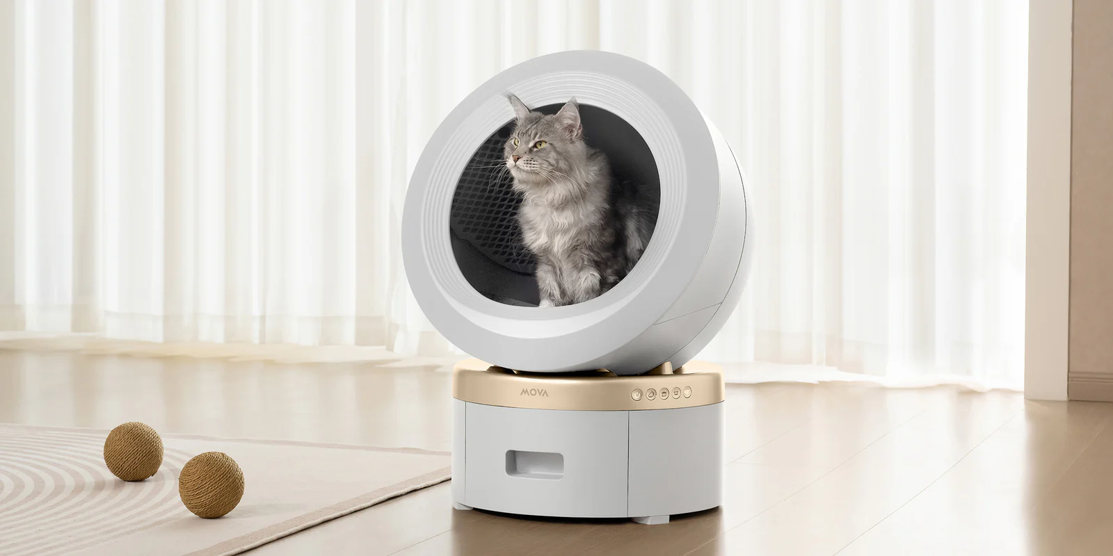 Tüylü gri bir kedi, evcil hayvan sahiplerinin günlük sorumluluklarını kolaylaştıran, şık ve modern beyaz-altın rengi MOVA MeowgicPod LR10 Prime akıllı kedi tuvaletinin yarı açık kubbe şeklindeki geniş haznesinde dikkatle etrafına bakarken, zeminde iki oyuncak topun olduğu aydınlık bir odada konumlanıyor.