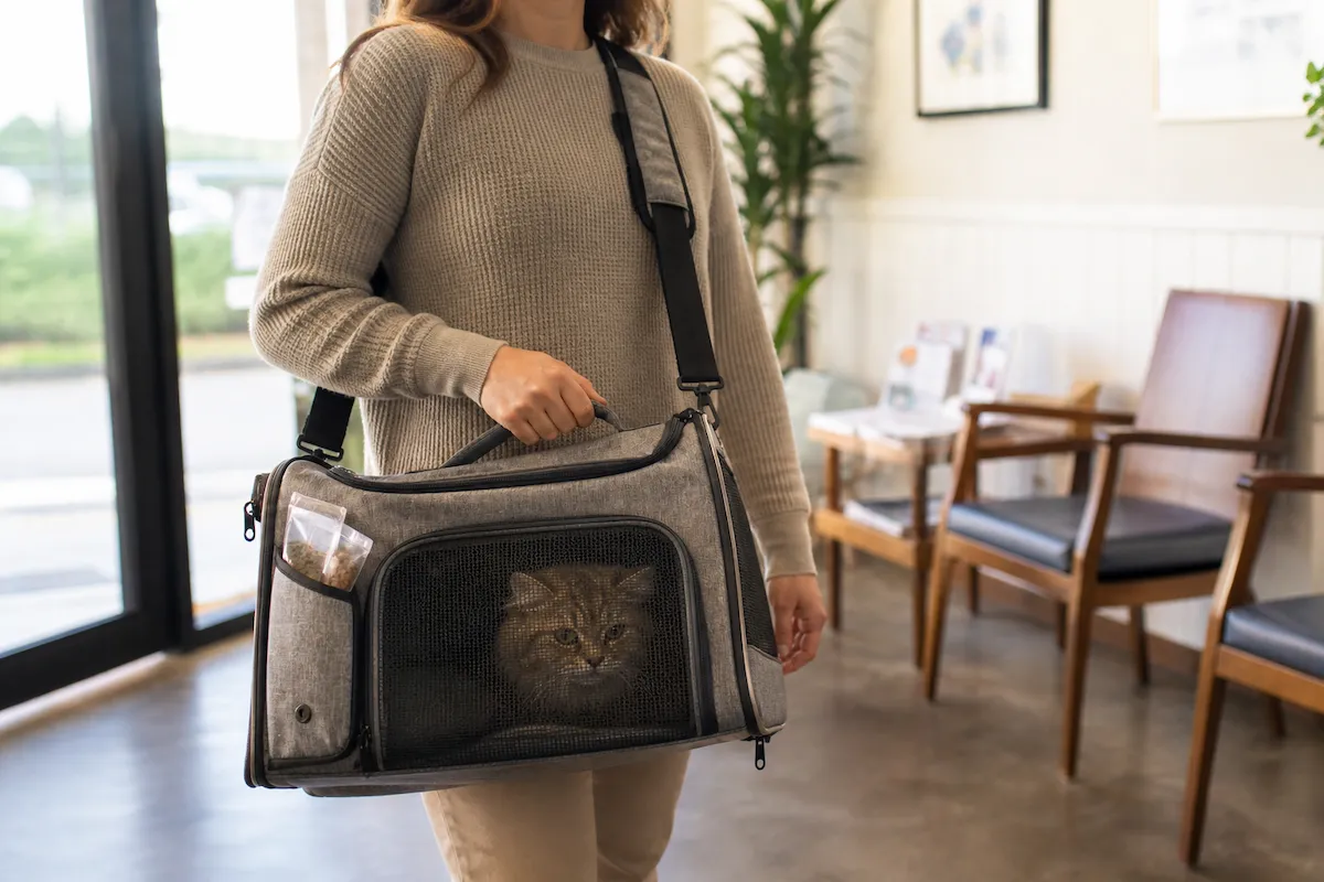 Ergonomik tasarımlı gri kedi taşıma çantasını omuzunda ve elinde taşıyan, krem rengi kazaklı bir kadın, çantanın fileli penceresinden dışarıya bakan tüylü kahverengi bir kedi ve yan cebinde duran ödül mamalarıyla birlikte, arka planda hafifçe görünen bir bekleme alanında ilerliyor.