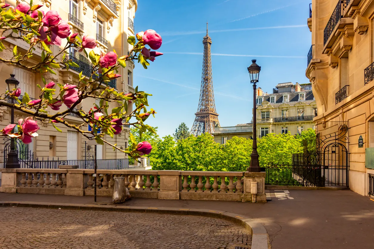 Bahar aylarında Paris'e gitmek için en güzel zamanlardan biri olan bu karede, pembe manolya çiçekleriyle süslenmiş bir ağaç dalının arkasında Eyfel Kulesi ve tarihi Paris binaları görülüyor.