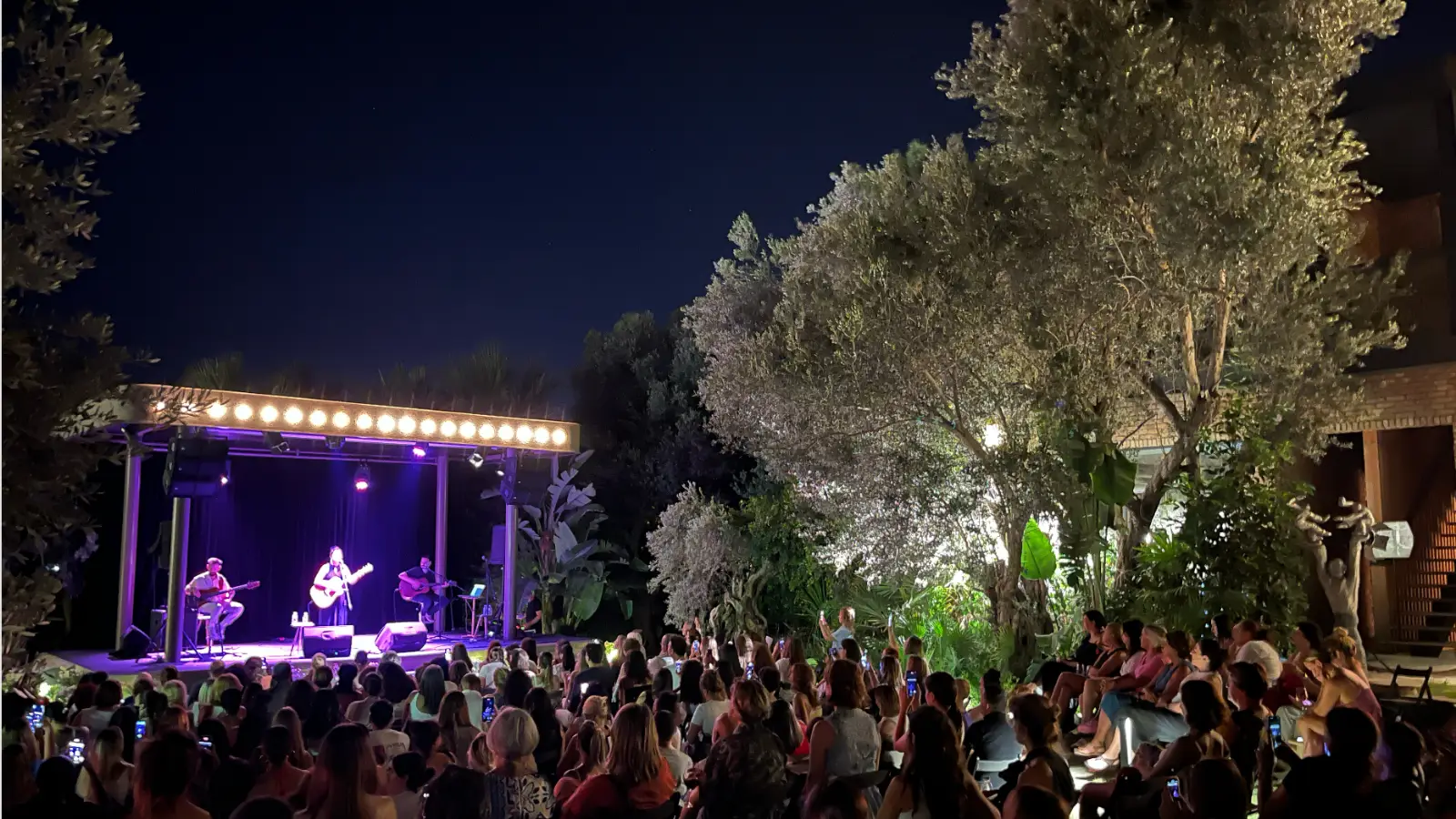 Açık hava sahnesinde mor ışıklar altında akustik gitar çalan bir kadın vokalist ve iki gitaristin sergilediği canlı müzik performansını, telefonlarıyla kaydeden geniş bir kalabalık izlerken, sağdaki aydınlatılmış büyük zeytin ağacı etkinliğe doğal bir atmosfer katıyor.