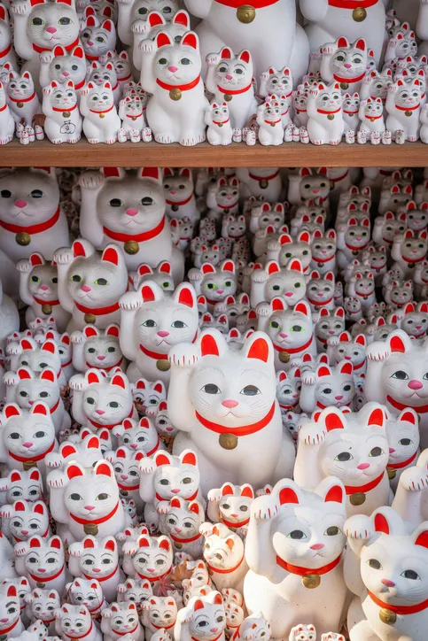 Gotoku-ji Tapınağı'nın sembolü olan Maneki-Neko şans kedisi heykellerinin, beyaz gövdeleri, kırmızı kulakları, pembe burunları ve yukarı kalkık patileriyle binlerce adedinin raflara dizilmiş olarak görünen, göz kamaştırıcı ve yoğun bir görüntüsü.