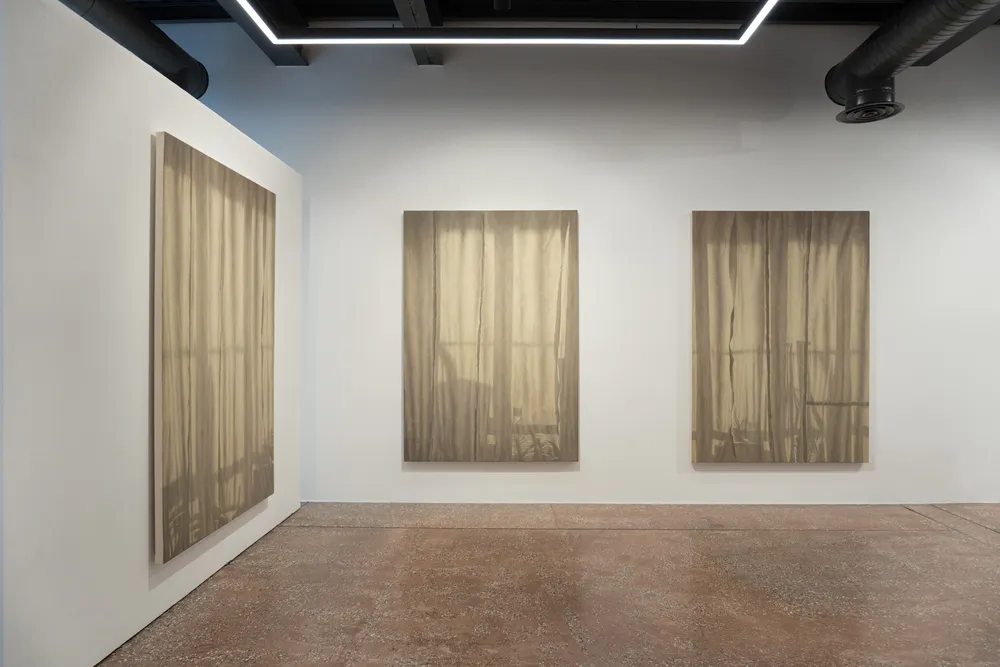 Bir sanat galerisi ortamında, beyaz duvarlarda sergilenen üç büyük eser, pencerelerin önündeki tül perdeleri çağrıştıran dokularıyla şeffaflığı sorgulayan bir tema sunarak Şeffaflığa Karşı sergisinin ruhunu yansıtıyor.
