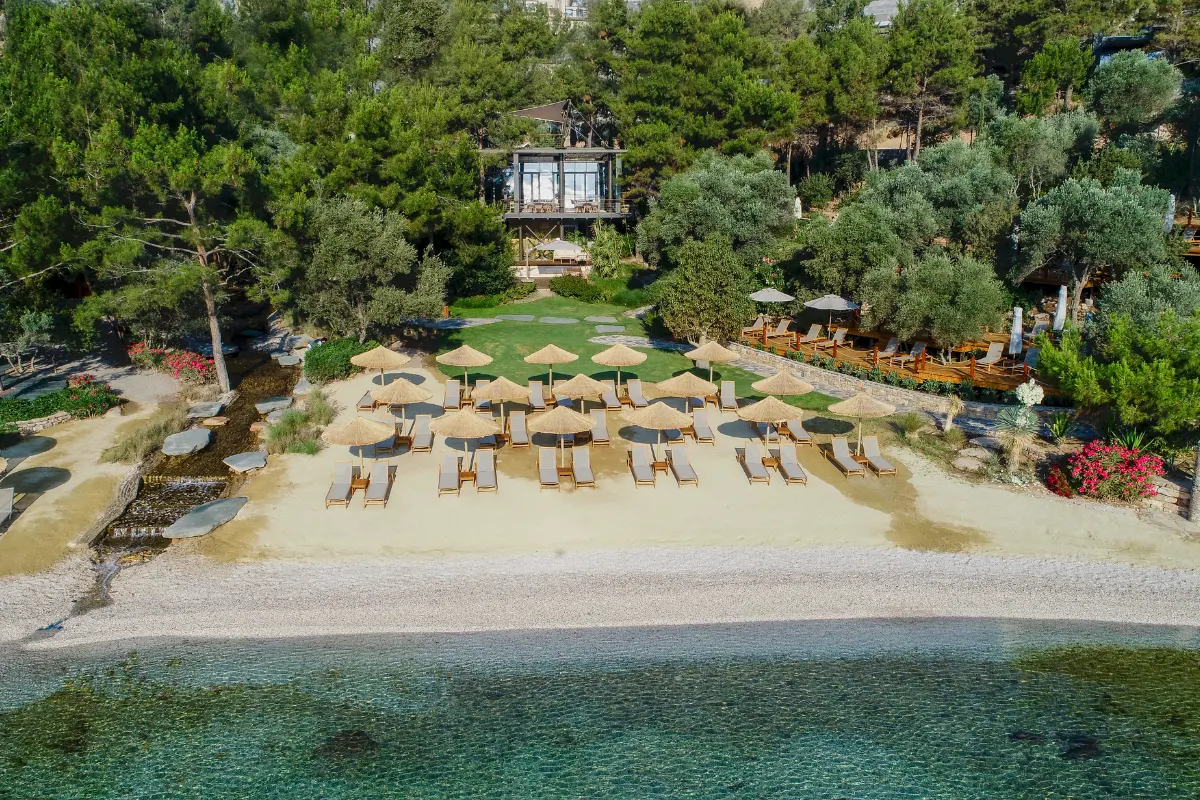 WAM Bodrum’da Akdeniz Rüyası: Golden Summer Bodrum