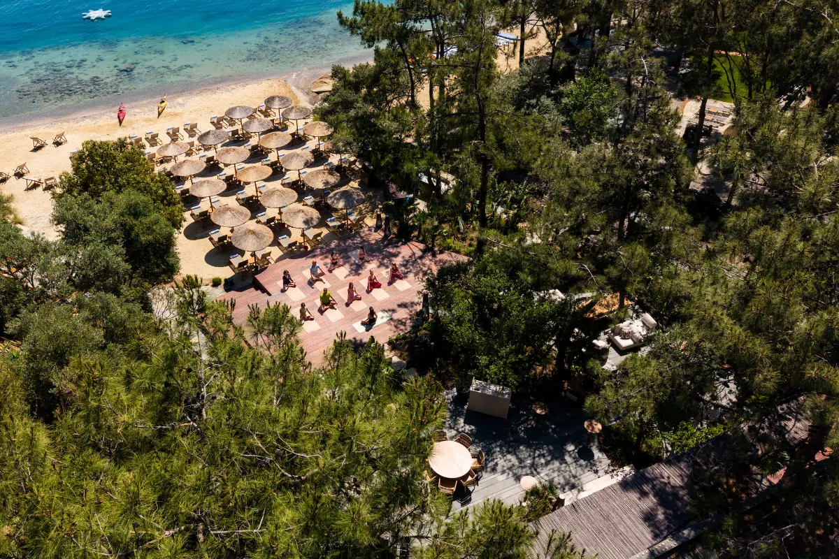 Bodrum'da, çam ağaçları ve yemyeşil bitki örtüsüyle çevrili, denize sıfır ahşap bir platformda yoga yapan bir grup insan, hemen yanındaki kumlu plajda sıralı hasır şemsiyeler ve berrak turkuaz deniziyle huzurlu bir ortam sunuyor.