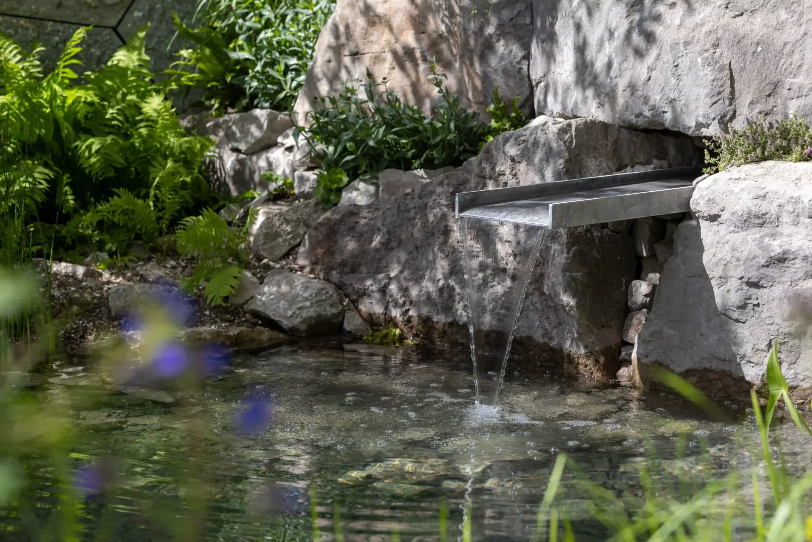 Chelsea Flower Show 2026'nın öne çıkan bahçe trendlerinden olan suyun bahçelere geri dönüşünü yansıtan bu karede, pürüzlü doğal kayalıklar arasına yerleştirilmiş modern metal bir oluktan berrak bir gölete dökülen şelale, yemyeşil eğrelti otları ve bulanık mor çiçeklerle sakin bir peyzaj oluşturuyor.