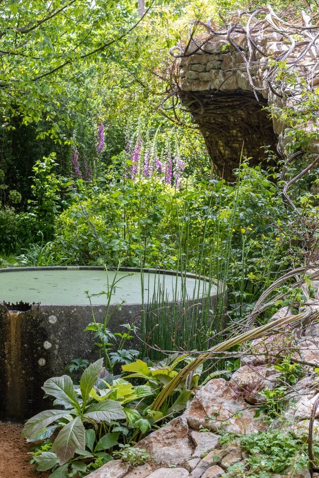 Yemyeşil ve yoğun bitki örtüsüyle, mor yüksük otları ve uzun su bitkileriyle dolu bir peyzajda, yosunlu yeşil suyla dolu dairesel bir taş kap, Chelsea Flower Show 2026'nın doğal, sürdürülebilir ve kontrollü vahşilik bahçe trendlerini yansıtan taş ve sarmaşıklarla örülü bir kemerin yakınında huzurlu bir görünüm sergiliyor.