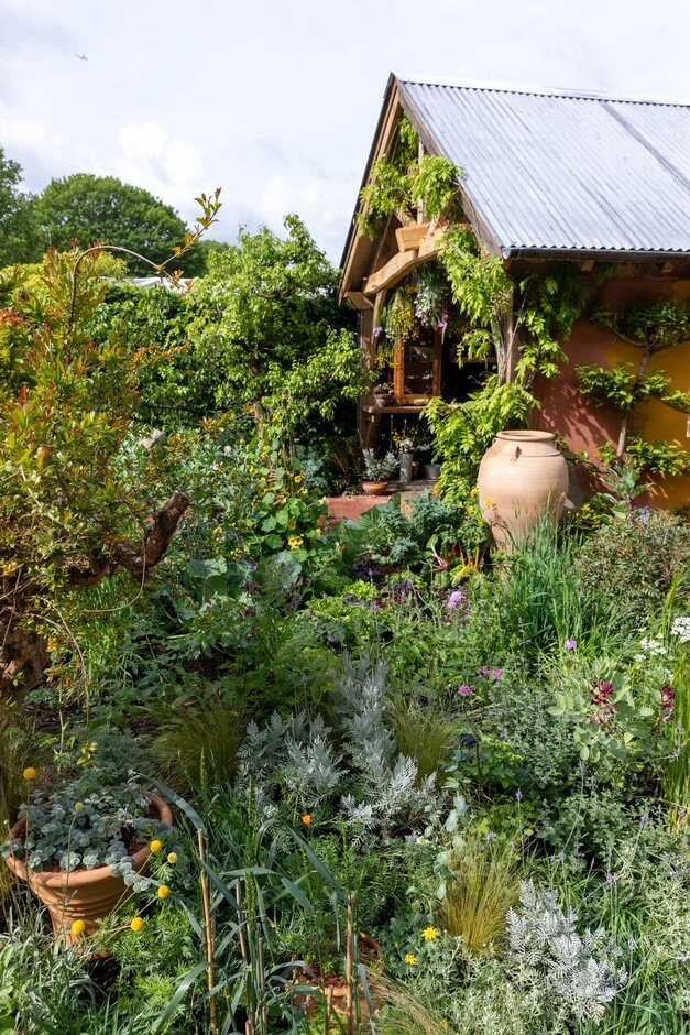 Chelsea Flower Show 2026'nın öne çıkan bahçe trendlerinden kontrollü vahşiliği ve doğal çeşitliliği sergileyen bu yemyeşil bahçede, farklı türde bitkiler, süs otları ve potalarla çevrili, sarmaşıklarla bezeli ahşap bir kulübe yer alıyor.