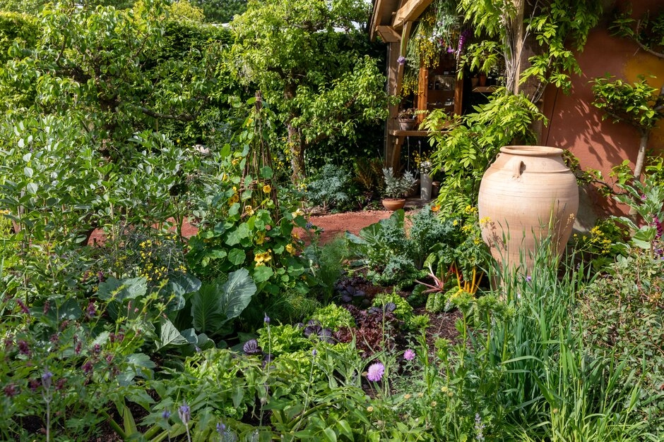 Chelsea Flower Show 2026 bahçe trendlerinden mutfaktan bahçeye yaklaşımını sergileyen bu yemyeşil bahçede, büyük lahana benzeri bitkiler, mor yapraklı marullar, sarı çiçekli nasturtiumlar ve çeşitli yeşillikler arasında, sağda büyük bir toprak küp ve ahşap yapı doğal bir bütünlük oluşturuyor.