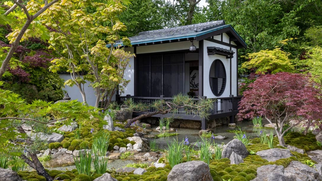 Chelsea Flower Show 2026'nın öne çıkan bahçe trendlerinden biri olan, Japon bahçesi estetiğiyle tasarlanmış Tokonoma Garden, moss, kayalar, su ögeleri ve özenle seçilmiş ağaçlarla, geleneksel bir pavyonun huzurlu yansımaları eşliğinde doğayla iç içe sessiz ve dingin bir yaşam alanı sunuyor.