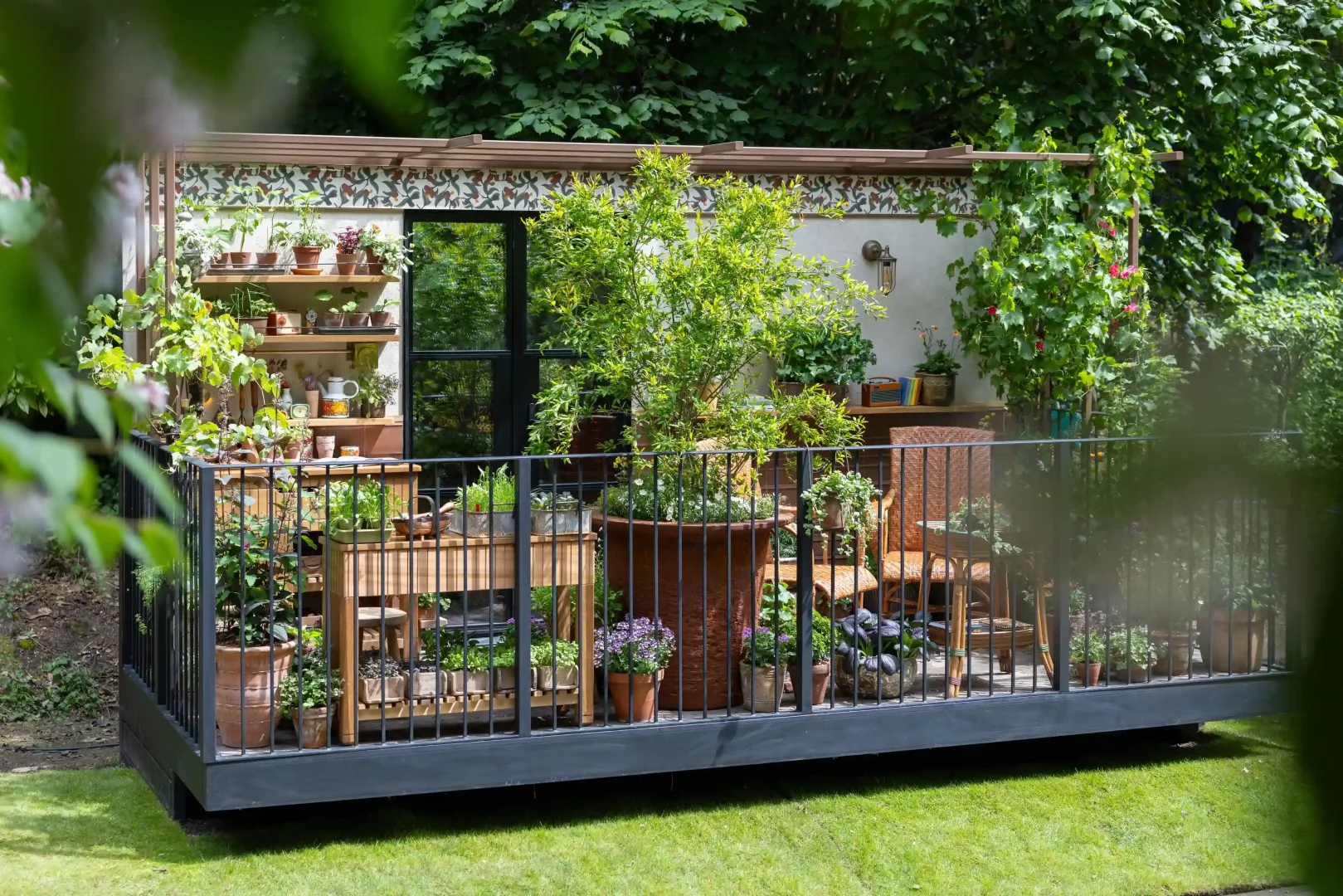 Bu Chelsea Flower Show 2026 bahçe trendleri arasında öne çıkan bir balkon bahçesi, siyah metal korkuluklarla çevrili, saksılarla dolu raflar, büyük bir ağaç, hasır sandalyeler ve ahşap bir tezgahla donatılmış, doğayla iç içe, yemyeşil ve yaşanabilir bir şehir kaçış alanı sunuyor.