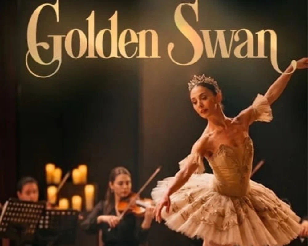 Candles and Echoes: Golden Swan