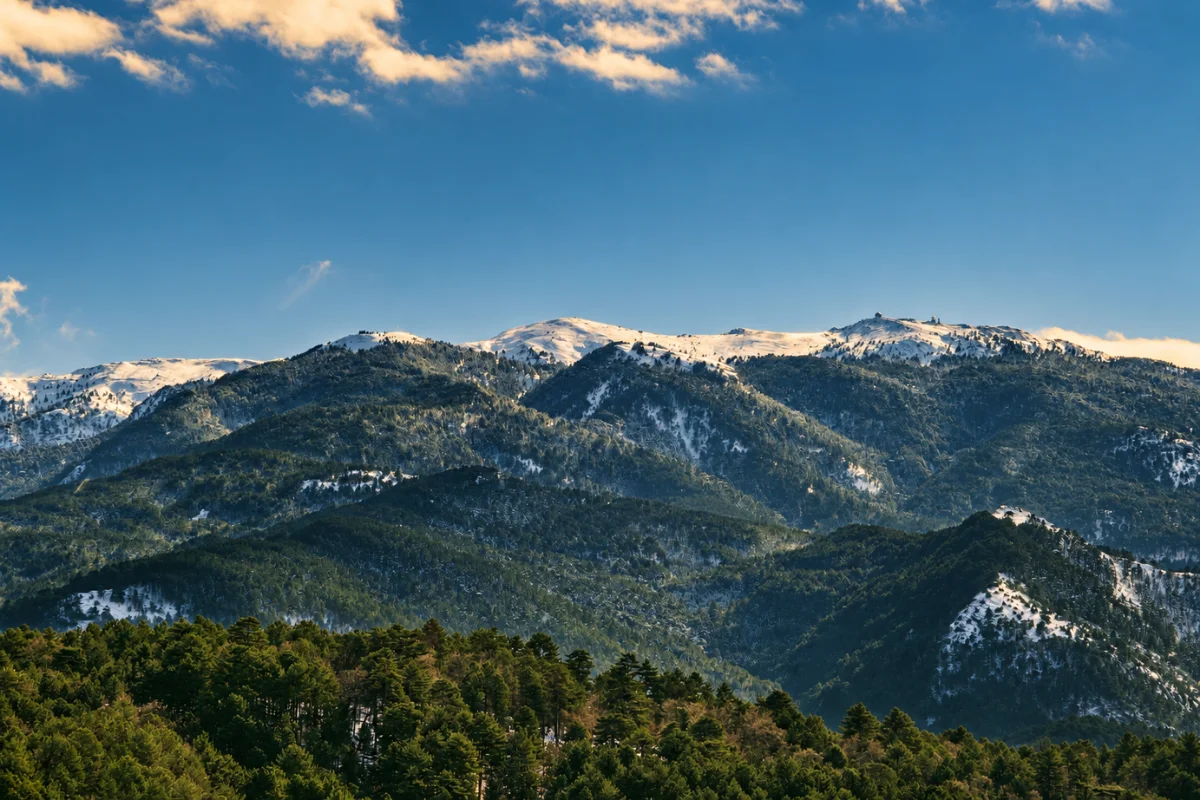 Kaz Dağları’nın huzur veren doğal güzelliğini yansıtan bu panoramik görselde, yemyeşil çam ormanlarıyla kaplı yüksek dağ yamaçları ve vadiler, açık mavi bir gökyüzü altında uzanarak bölgenin yüksek oksijenli havasını ve keşfedilmeyi bekleyen doğa rotalarını vurguluyor.