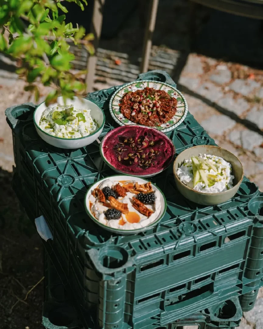 Alaçatı'dan güneşli bir dış mekanda koyu yeşil bir kasasının üzerinde sunulan; pancarlı, böğürtlenli, elmalı yoğurtlu, bakliyatlı ve yeşillikli gibi çeşitli renkli ve iştah açıcı Ege mezeleri.