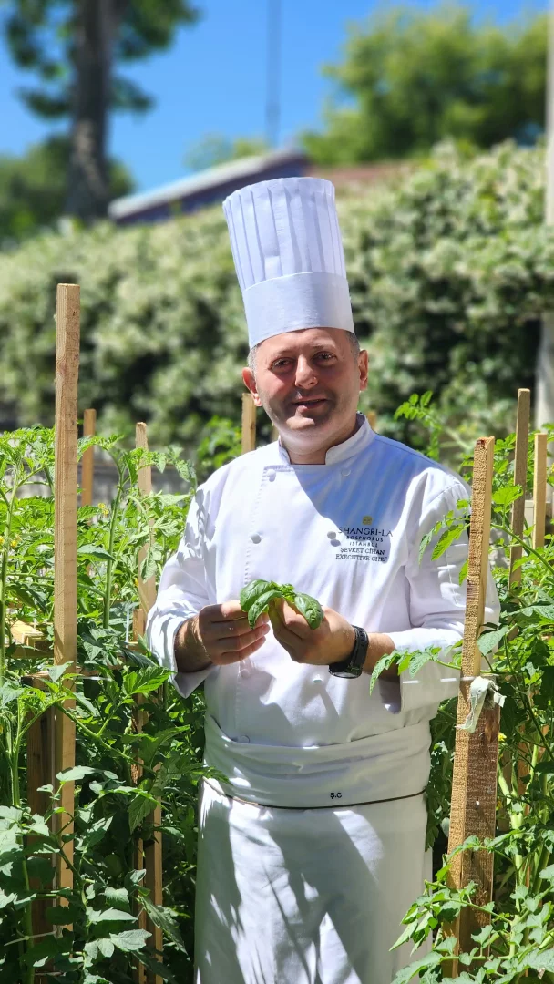 Shangri-La Bosphorus Istanbul Executive Şefi Şevket Cihan, şef üniforması ve beyaz şapkasıyla güneşli bir açık havada, etrafı destek çubuklu domates bitkileriyle çevrili bir bahçede taze fesleğen yapraklarını nazikçe ellerinde tutuyor.