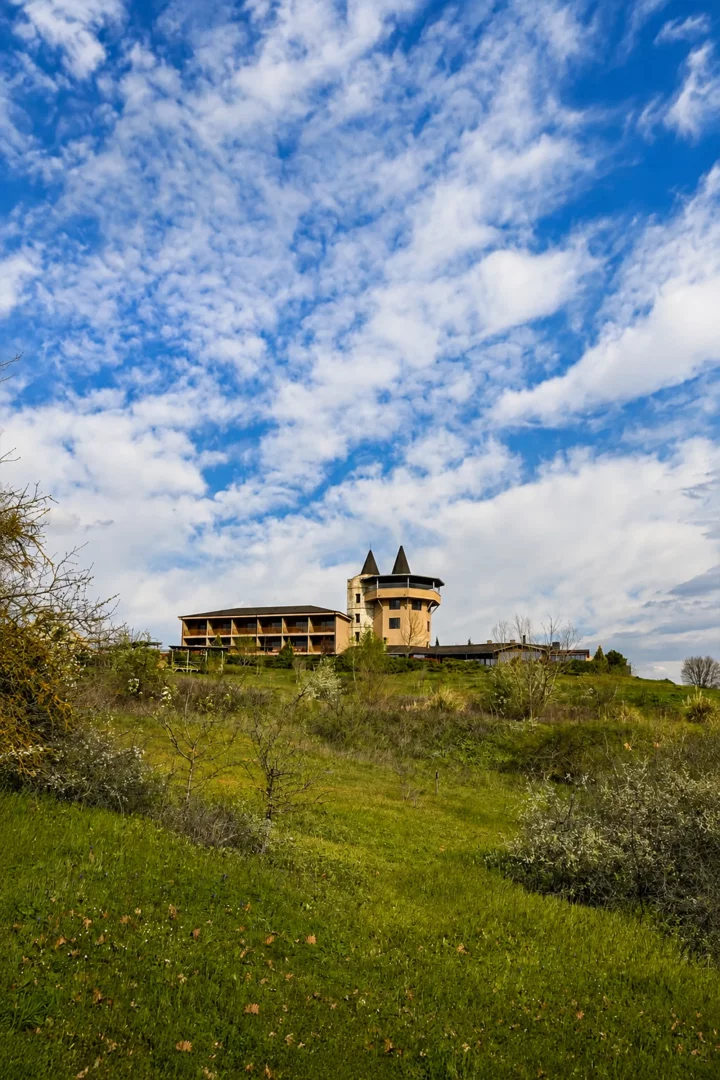 Mavi gökyüzünün altında uzanan yemyeşil bir tepenin doruğunda, Bakucha bağları tesisine ait sivri çatılı kulesi ve modern balkonlu binaları, ön plandaki çiçek açan çalılıklar ve otlarla çevrili bir manzara sunuyor.