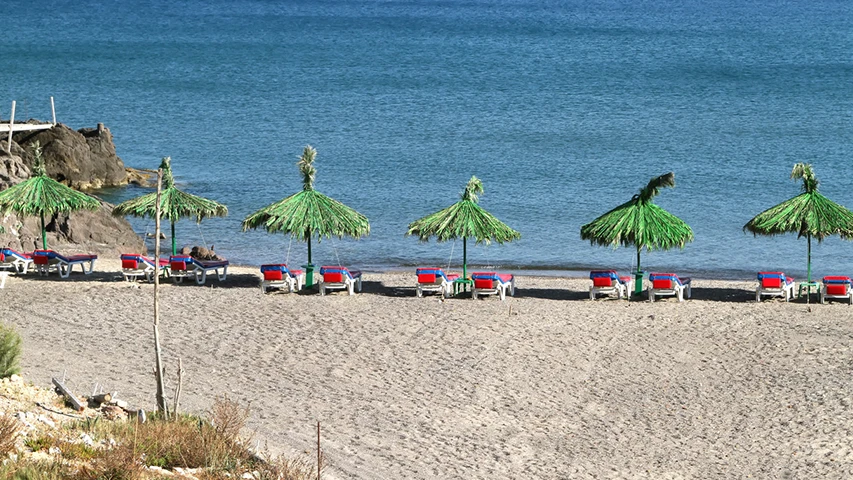 Kos'taki Camel Beach'te, güneşli bir günde masmavi denizin kıyısında uzanan açık renkli kumların üzerinde düzenli sıralanmış yeşil saz şemsiyelerin altında kırmızı ve mavi şezlonglar görülürken, sol yanda kayalık bir kıyı şeridi uzanıyor.